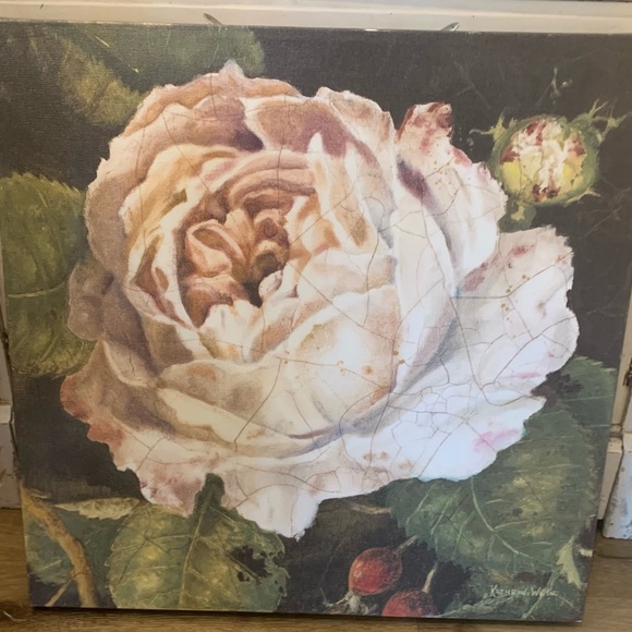 Rose Picture - Picture 1 of 5